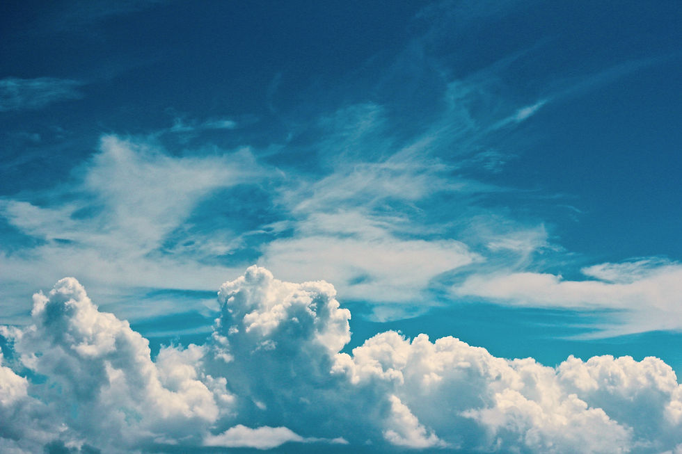 Image by Jelleke Vanooteghem