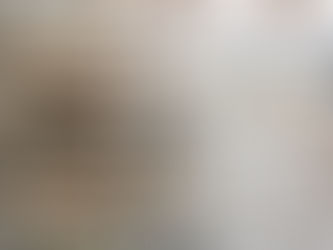 Environmental Analysis and the Case of the Half-iced Donut