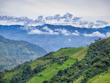SALIDA GRUPAL MEDELLÍN