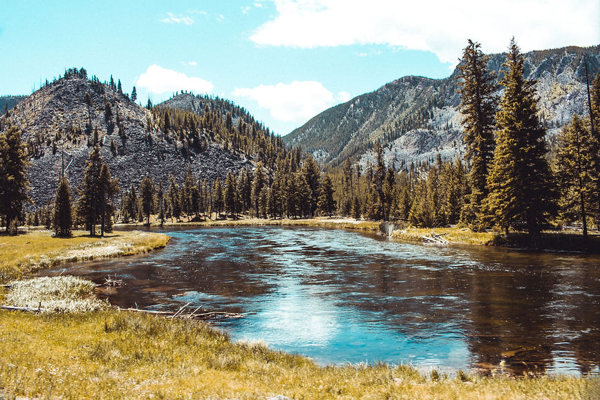 Image by Austin Farrington