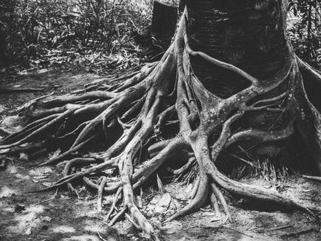 Grounded in Our Grief