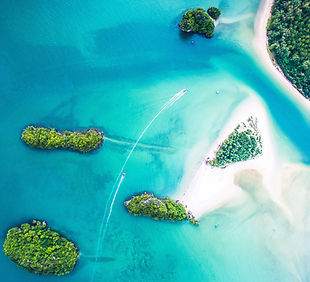Caribbean aeriel view. Image by Denys Nevozhai