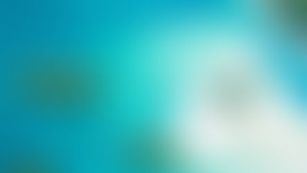 DECOUVREZ LES FONDS BLANCS ET LES ILETS DE LA MARTINIQUE !