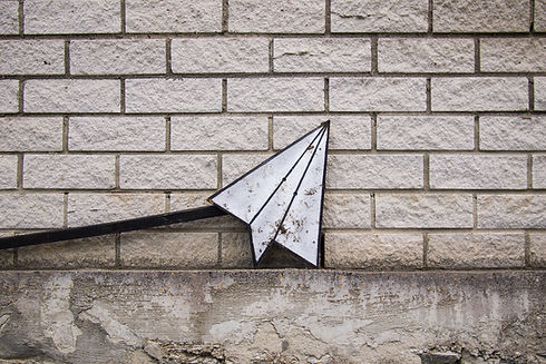 Image by Daria Nepriakhina