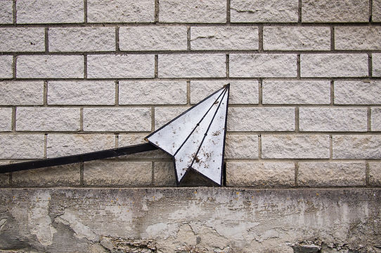 Image by Daria Nepriakhina