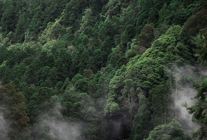 Image by Filipe Lourenço Marques