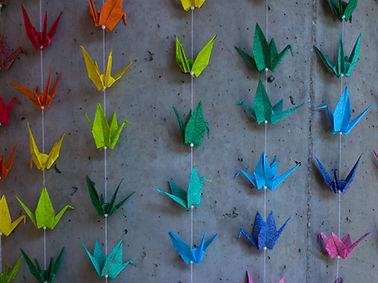 Image by Soroush Zargar