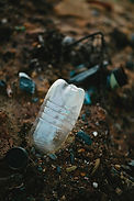 Image by Markus Spiske