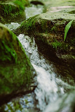 Image by Chris Abney