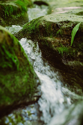 Image by Chris Abney