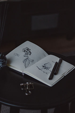 Image by pure julia