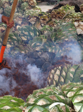 Image by analuisa gamboa