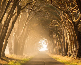Image by Stephen Leonardi