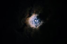 Eyes of the Night