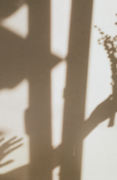 Image by Tanya Trofymchuk