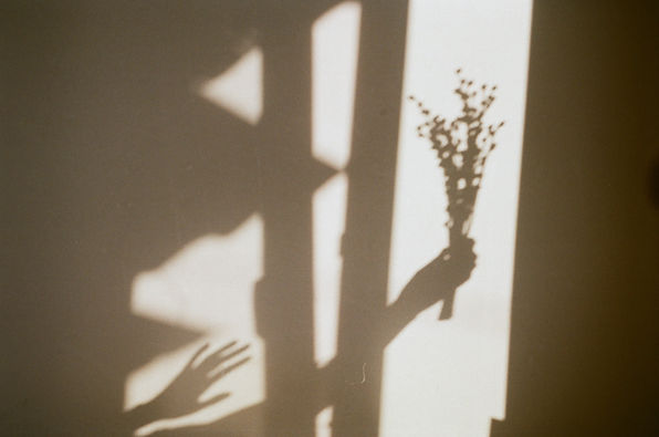 Image by Tanya Trofymchuk