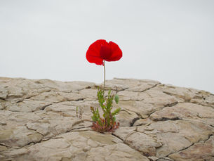Building Resilient Habits: How to Stay on Track When Life Gets Messy