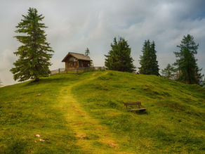Saturday Writing Prompt -19th September - Occupant