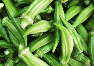 Image by Elianna Friedman