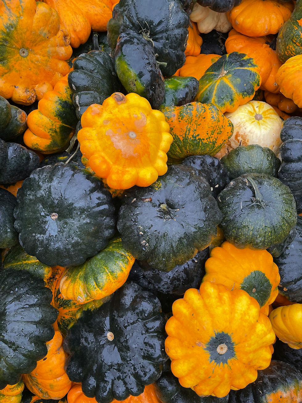 Pattypan Squash