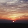 Image by Karol Smoczynski
