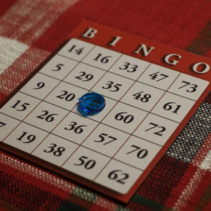 The Bingo Card Check-In: Mid-February 2026