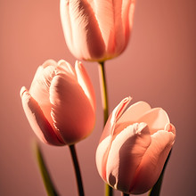 Image by Karina Vorozheeva