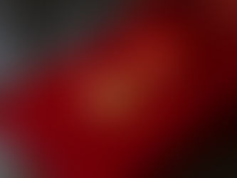 美国签证党员问题:详细解析与应对策略