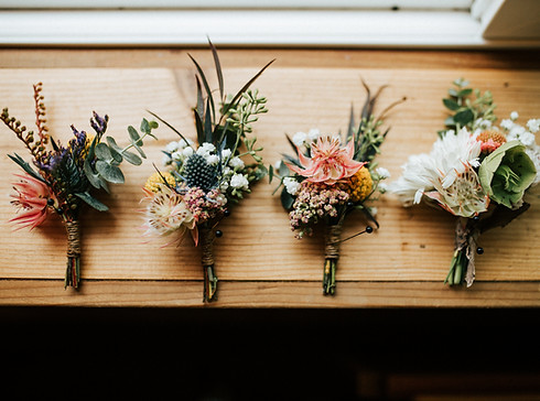 Image by Marisa Morton
