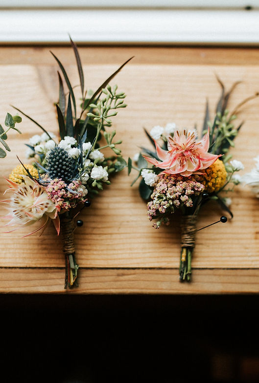 Image by Marisa Morton