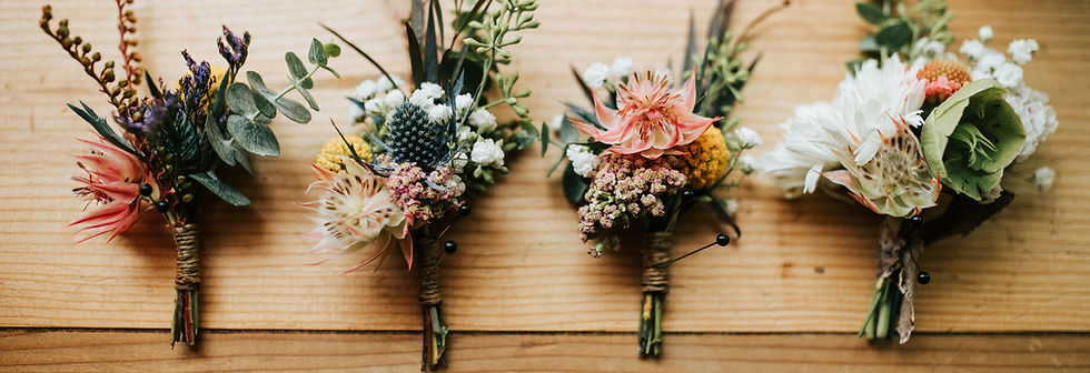 Image by Marisa Morton