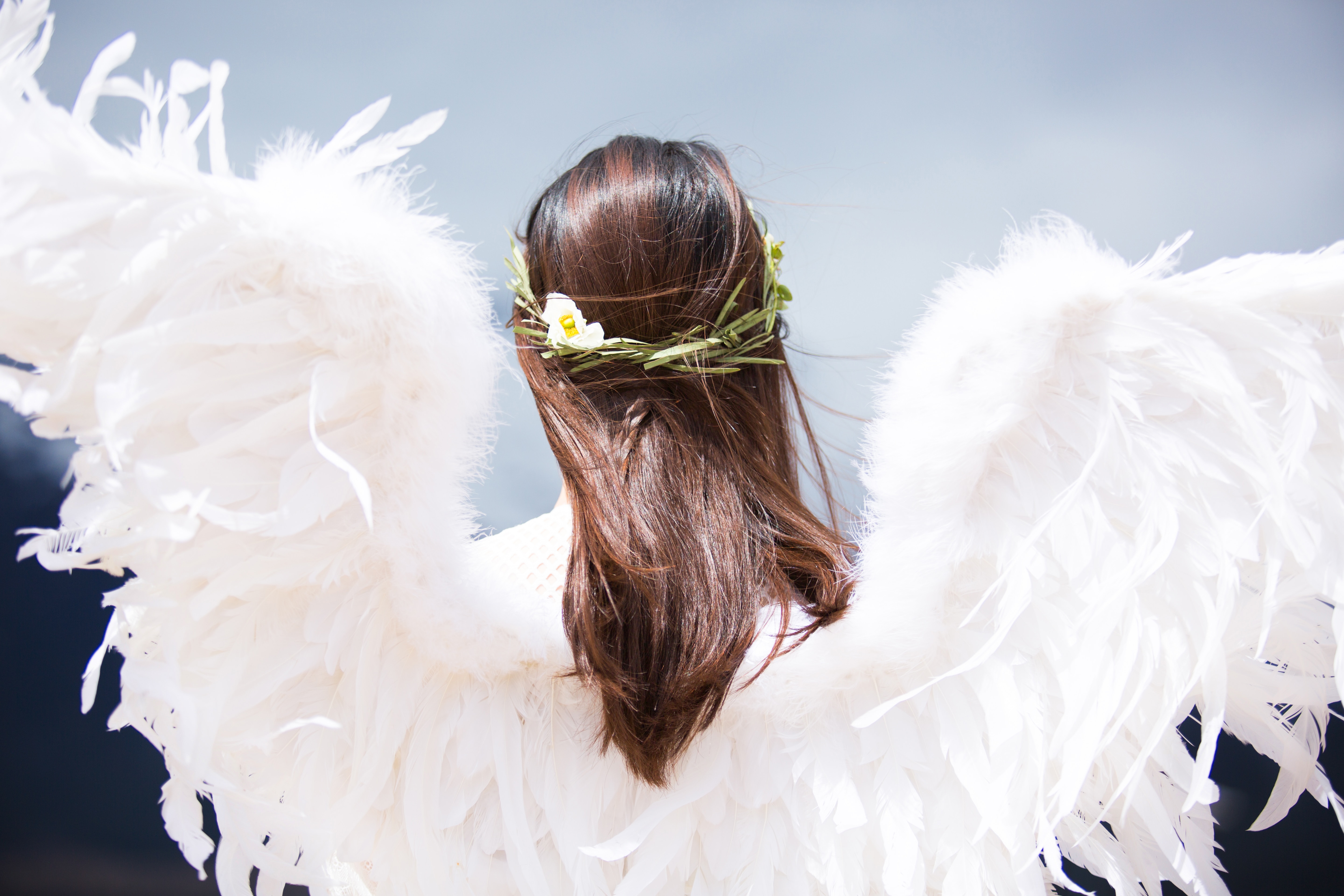 Different Types of Spirit Guides content media