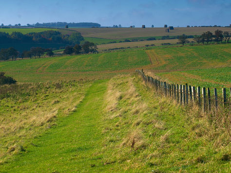 How To Help The Woodland Trust Create A Wildlife Haven In The Yorkshire Dales