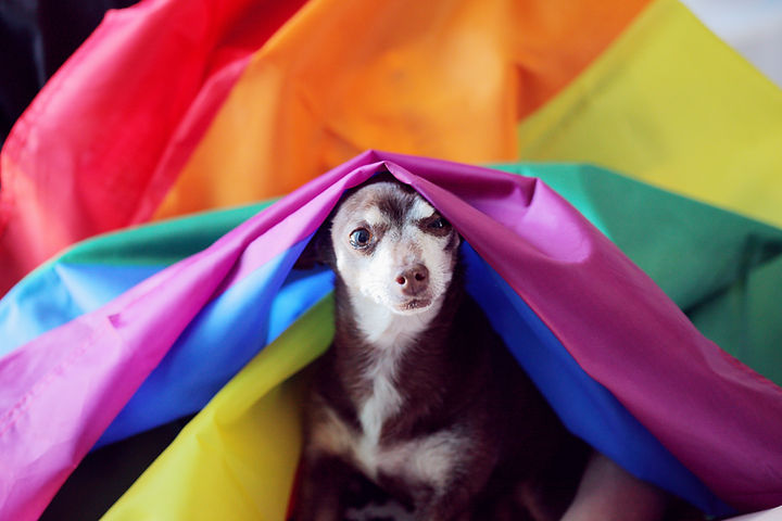 Image by Sharon McCutcheon