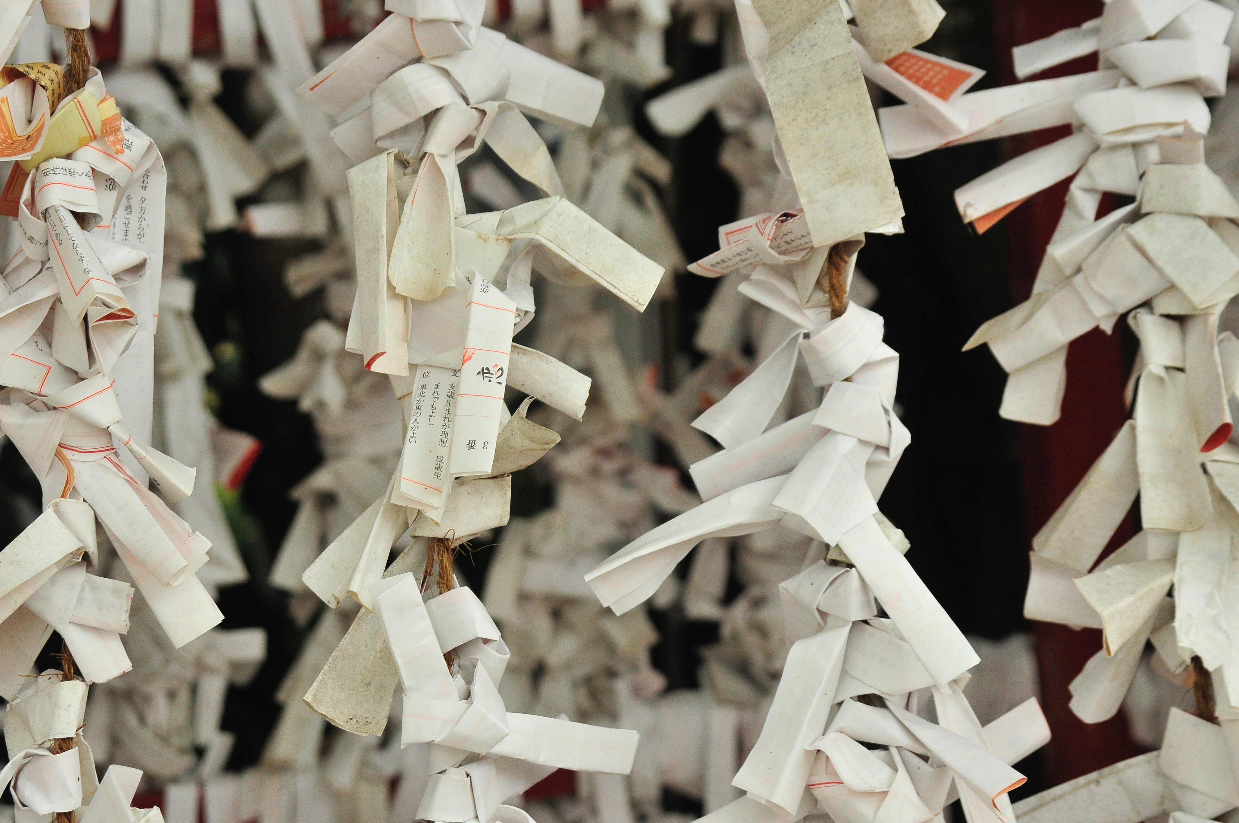 Paper Shredding
