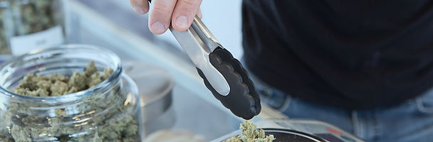 Kitchener weed delivery, Kitchener cannabis delivery, Kitchener dispenseries, weed delivery near me, weed delivery Kitchener, cannabis delivery Kitchener, Kitchener Kush delivery, weed stores in Kitchener, Kitchener weed store   