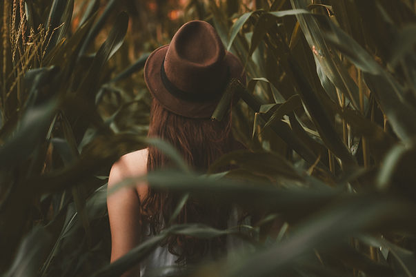 Image by Allef Vinicius