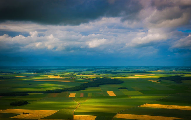 Image by Nicolas Prieto