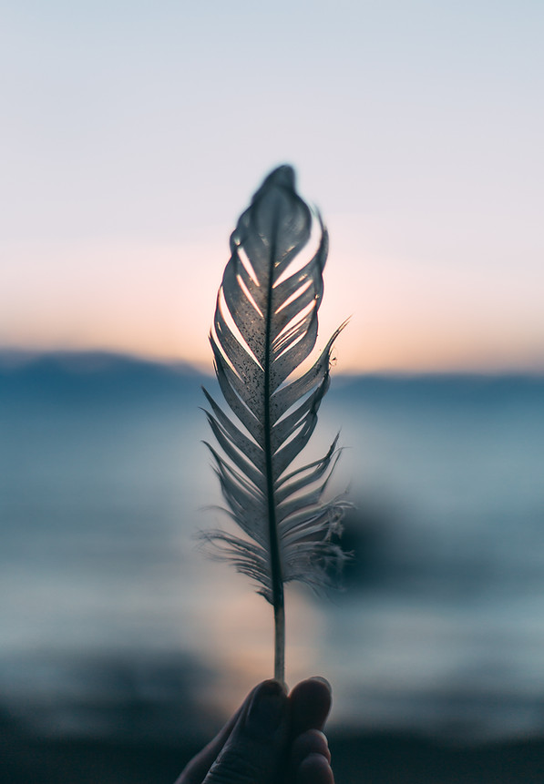 Image by Daiga Ellaby