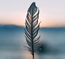 Image by Daiga Ellaby