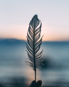 Image by Daiga Ellaby