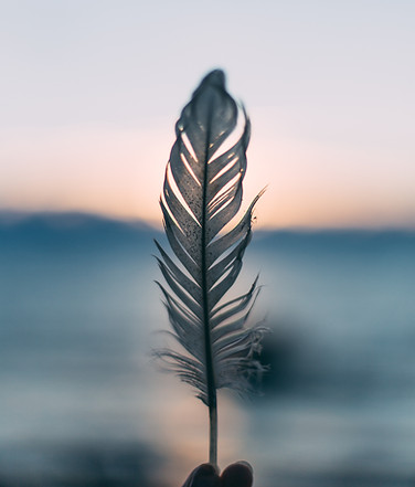 Image by Daiga Ellaby