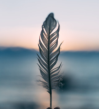 Image by Daiga Ellaby
