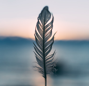 Image by Daiga Ellaby