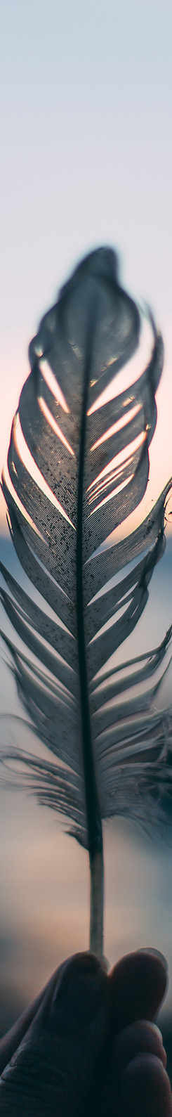 Image by Daiga Ellaby