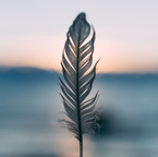 Image by Daiga Ellaby
