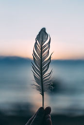 Image by Daiga Ellaby