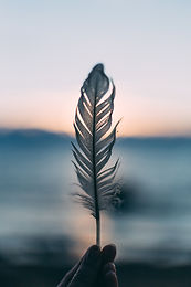 Image by Daiga Ellaby