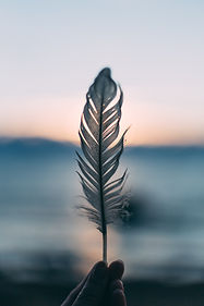 Image by Daiga Ellaby