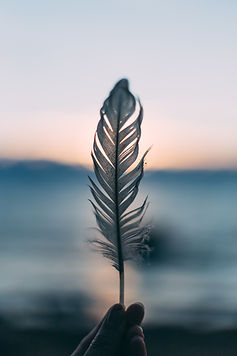Image by Daiga Ellaby